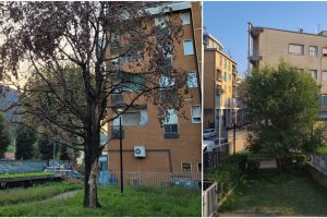 PhotoCollage_20231002_190338757