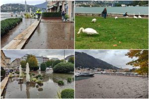 PhotoCollage_20231104_163818717