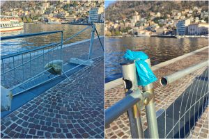 PhotoCollage_20231217_173628144