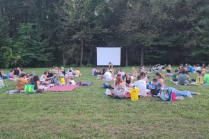 Picnic