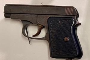 Pistola-1