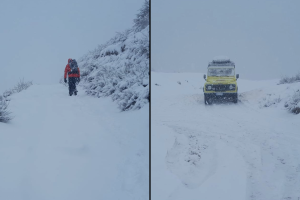 Plesio-Disperso-Montagna-Combo