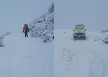 Plesio-Disperso-Montagna-Combo