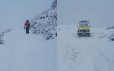 Plesio-Disperso-Montagna-Combo