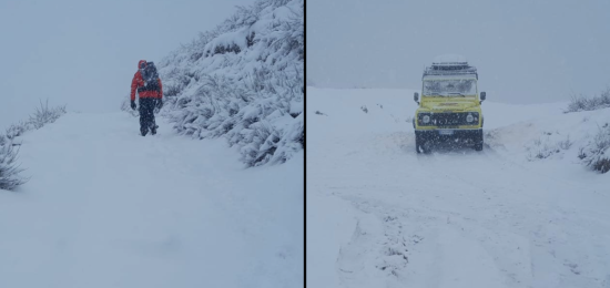 Plesio-Disperso-Montagna-Combo