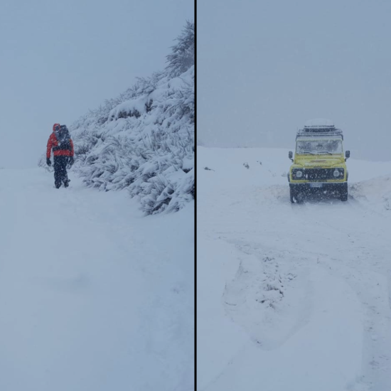 Plesio-Disperso-Montagna-Combo