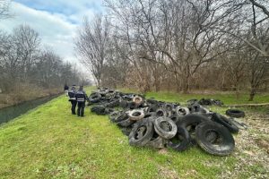 Pneumatici-Discarica-Abusiva-Mincio