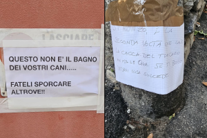 Proteste-Cani-Combo