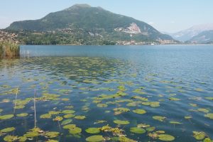Pusiano_lago_foto1_r