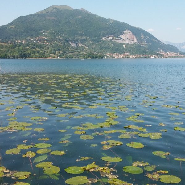 Pusiano_lago_foto1_r