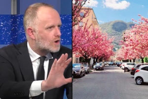 Rapinese-Ciliegi-Via-XX-Settembre-Combo