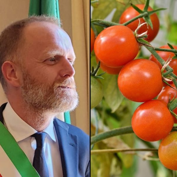 Rapinese-Pomodori-Combo