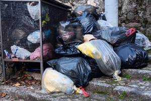 Rifiuti-Nesso-Spazzatura