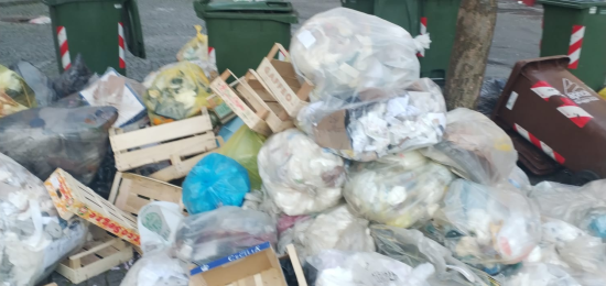 Rifiuti-Spazzatura-Piazza-Volta (44)