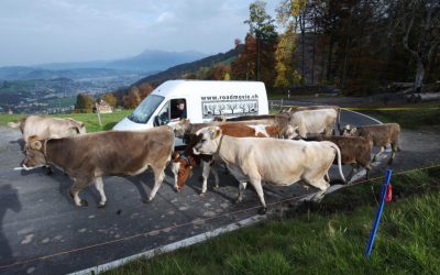 Roadmovie