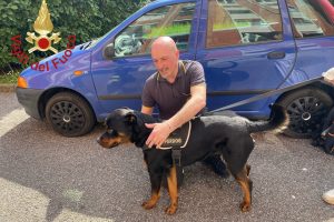 Rottweiler-Via-di-Vittorio-Vigili-Fuoco (2)
