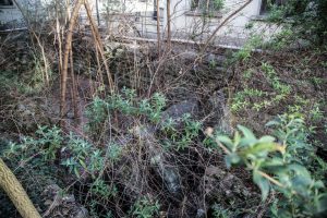 Rovine_romane_Volta-0259