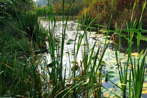 SINTAB_Area Rodero CO 2