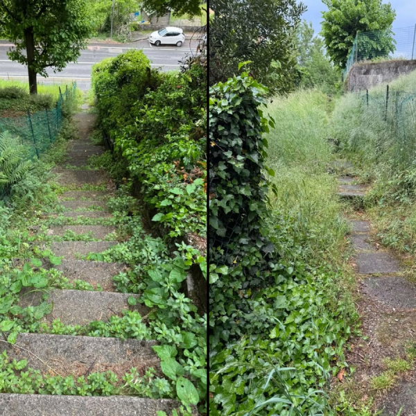 Scalinata-Via-Spartaco-Cappelletti-Via-Bellinzona-Combo