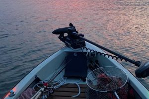 Sonar-Pesca