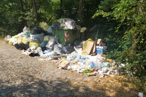 Spazzatura-Degrado-Bisbino (3)