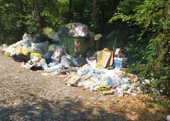 Spazzatura-Degrado-Bisbino (3)