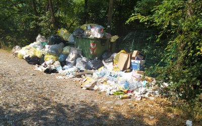Spazzatura-Degrado-Bisbino (3)