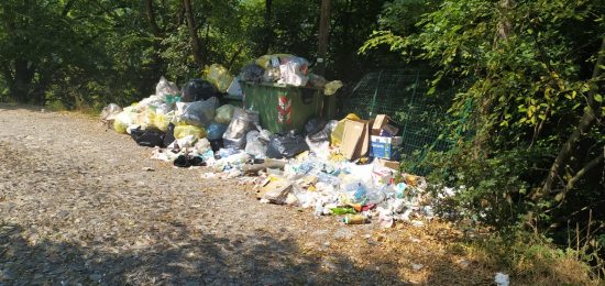 Spazzatura-Degrado-Bisbino (3)