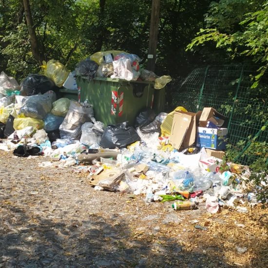 Spazzatura-Degrado-Bisbino (3)