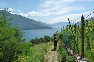 Sport_Passeggiata da Gravedona a Domaso_COMO