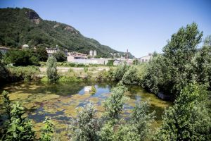 Stagno_ticosa-6964