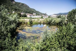 Stagno_ticosa-6975