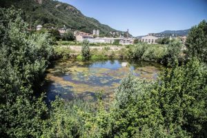 Stagno_ticosa-6976