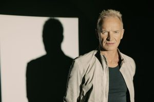 Sting_photo credit_ Eric Ryan Anderson