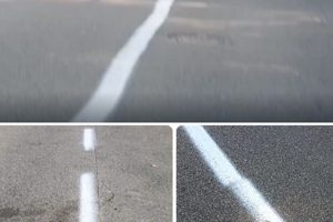 Strisce-Via-Sportivi-Comaschi