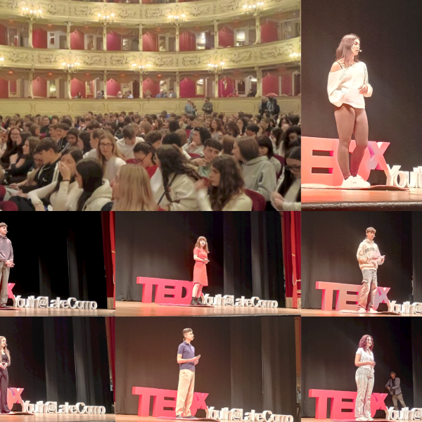 Tedxyoung-combo
