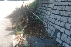 Tronchi-Rami-Sterpaglie-Via-Per-Brunate (1)