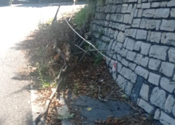 Tronchi-Rami-Sterpaglie-Via-Per-Brunate (1)