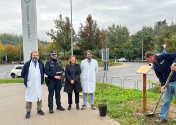 Un albero per la salute_con Maresca_Scola_D'Ambrosio_Squizzato
