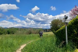 Parco Regionale della Valle Lambro