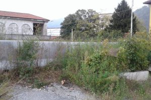 VIa_Regina1