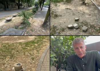 Viale-Varese-Segnalazione-Gaddi-Limone-Combo