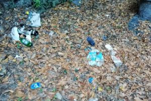 Viale geno - sentiero pedonale - rifiuti