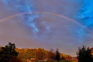 WhatsApp Image 2025-11-02 at 16.59.52 (1)