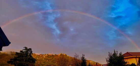 WhatsApp Image 2025-11-02 at 16.59.52 (1)