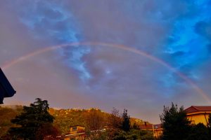 WhatsApp Image 2025-11-02 at 16.59.52 (1)