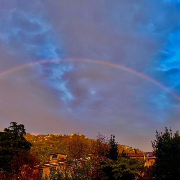 WhatsApp Image 2025-11-02 at 16.59.52 (1)