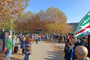 WhatsApp Image 2025-11-11 at 16.16.05