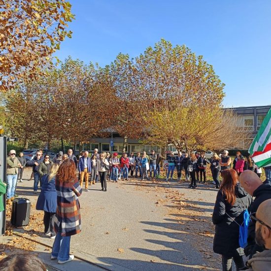 WhatsApp Image 2025-11-11 at 16.16.05