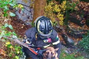 WhatsApp Image 2025-11-15 at 11.20.09